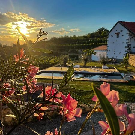 Skerlj Wine Estate ξενώνας Tomaj Εξωτερικό φωτογραφία
