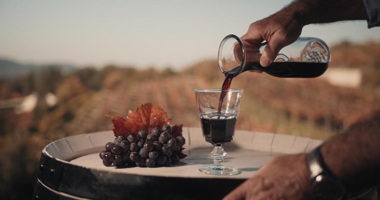 Skerlj Wine Estate ξενώνας Tomaj Εξωτερικό φωτογραφία
