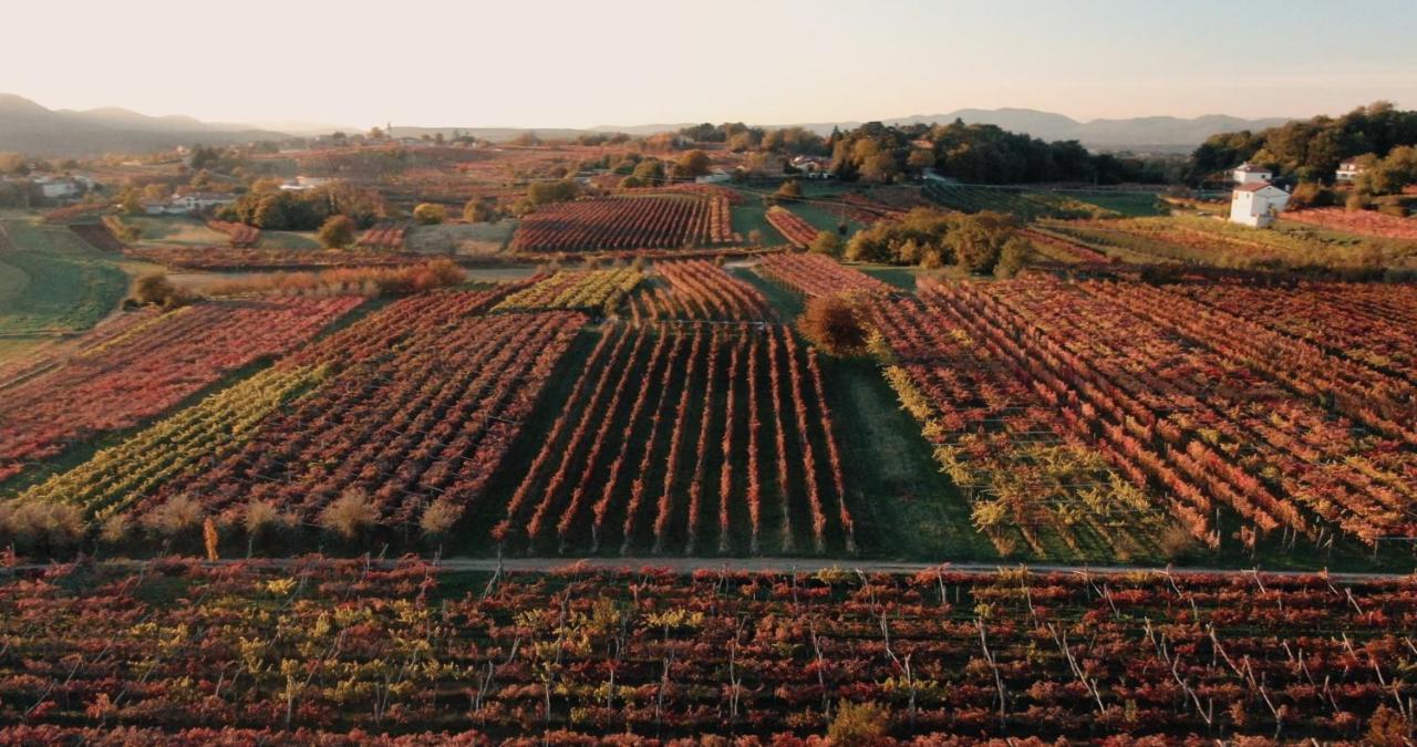 Skerlj Wine Estate ξενώνας Tomaj Εξωτερικό φωτογραφία