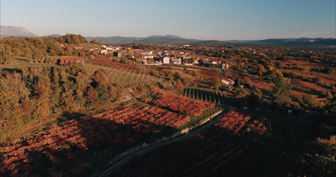 Skerlj Wine Estate ξενώνας Tomaj Εξωτερικό φωτογραφία